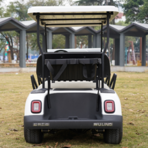 Golf Cart 6 Seats Shuttle Electric Car Battery Powered Tourist Sightseeing Antique Classic Old Vintage Car