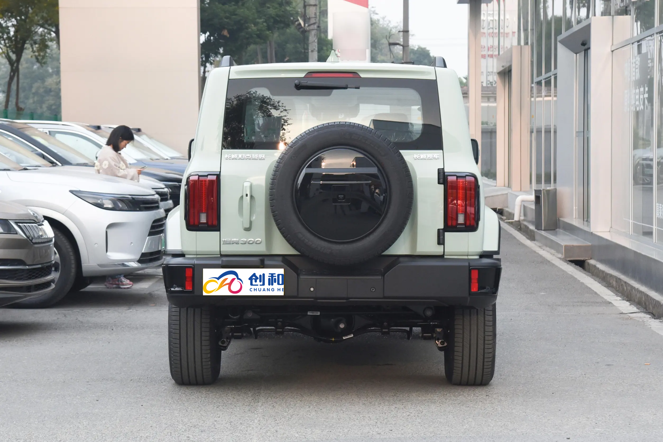 Changcheng 2024 Tank 300 5 seats family compact Chinese-made gasoline AT engine 2.0T SUV