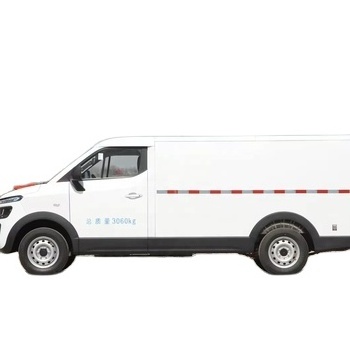 Kerry/Kairui Auto Dolphin EV New Energy Mini Van Cargo Van with 2 Seats Electric Carros Vehicle