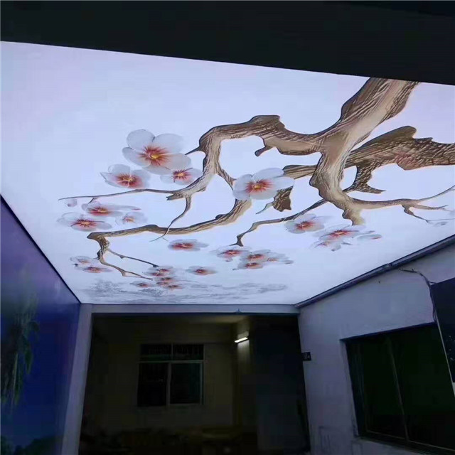 Pop pvc roofing 5d ceiling wall graphics designs price in Nigeria