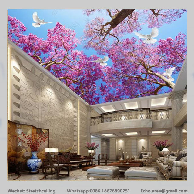 Guangzhou pvc wall panel 3d ceiling sky decor images