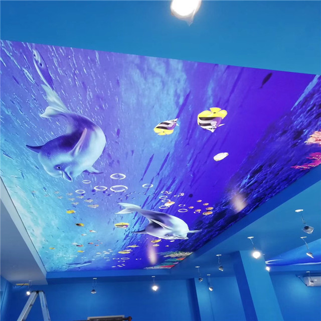 Pvc panel for sky bathroom suspended ceiling tiles