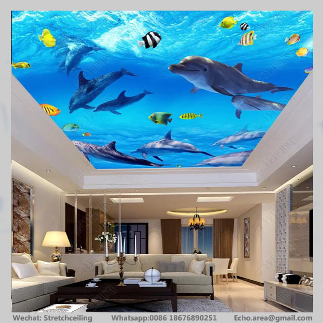 Guangzhou pvc wall panel 3d ceiling sky decor images