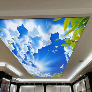 Product ideas 3D printed LED blue sky live roof ceiling tiles