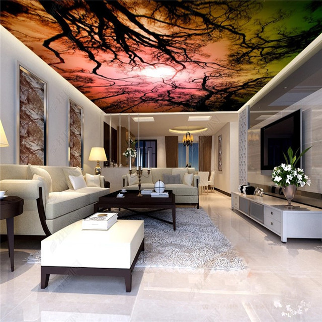 Pop pvc roofing 5d ceiling wall graphics designs price in Nigeria