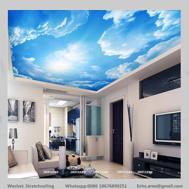 Product ideas 3D printed LED blue sky live roof ceiling tiles