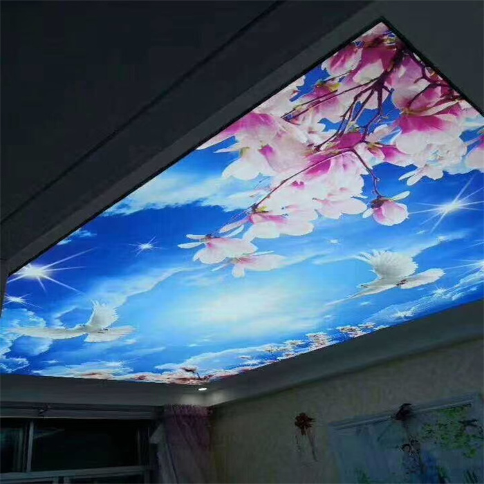 Kenya pvc laminated gypsum ceiling tiles 2x2 waterproof