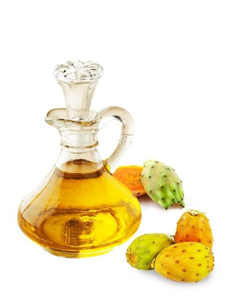 Pure Natural Prickly Pear Seed  Oil Barbary Fig Oil Bulk