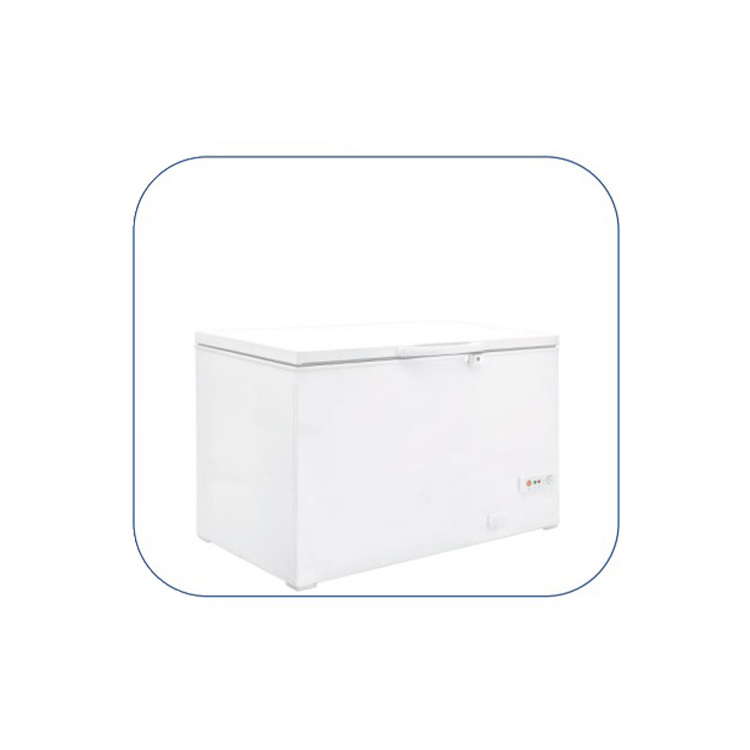 Highest Quality Best Class DSL 300 LED Lamp Lid Illumination Single Door Fridges And Deep Freezers