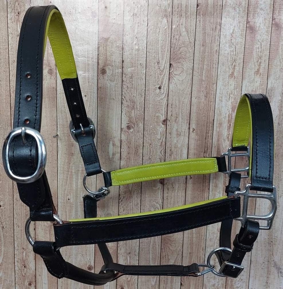 CUSTOMIZED DESIGN LEATHER HALTER WITH CONTRAST COLOR PADDING/ WHOLESALE LEATHER HORSE HALTER WITH PADDING.