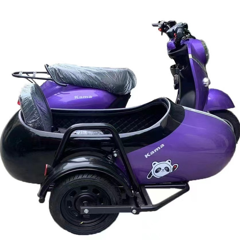 2022 Luxury Design Family Pet Delivery Fat Tire Trike Electric Tricycles Side car Electric Cargo Bike