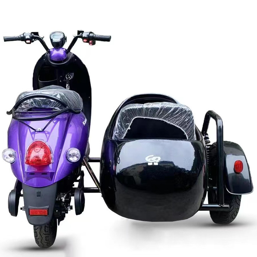 2022 Luxury Design Family Pet Delivery Fat Tire Trike Electric Tricycles Side car Electric Cargo Bike