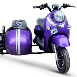 2022 Luxury Design Family Pet Delivery Fat Tire Trike Electric Tricycles Side car Electric Cargo Bike