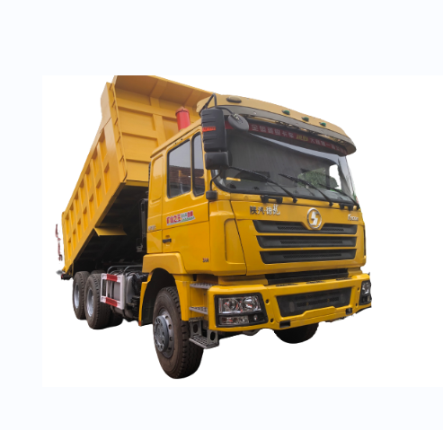 F3000 SHACMAN SINOTRUCK 30T Dump Truck 10wheeler truck