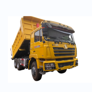 F3000 SHACMAN SINOTRUCK 30T Dump Truck 10wheeler truck