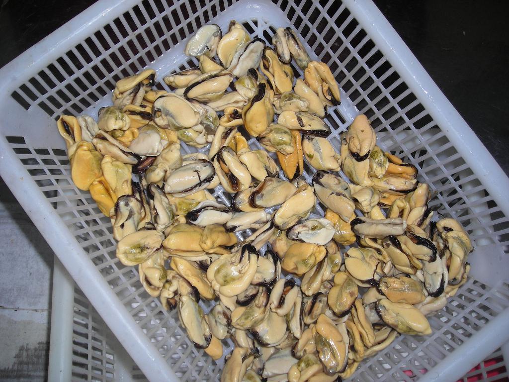 Seafood Frozen Boiled Mussels Meat Green Mussel With Price