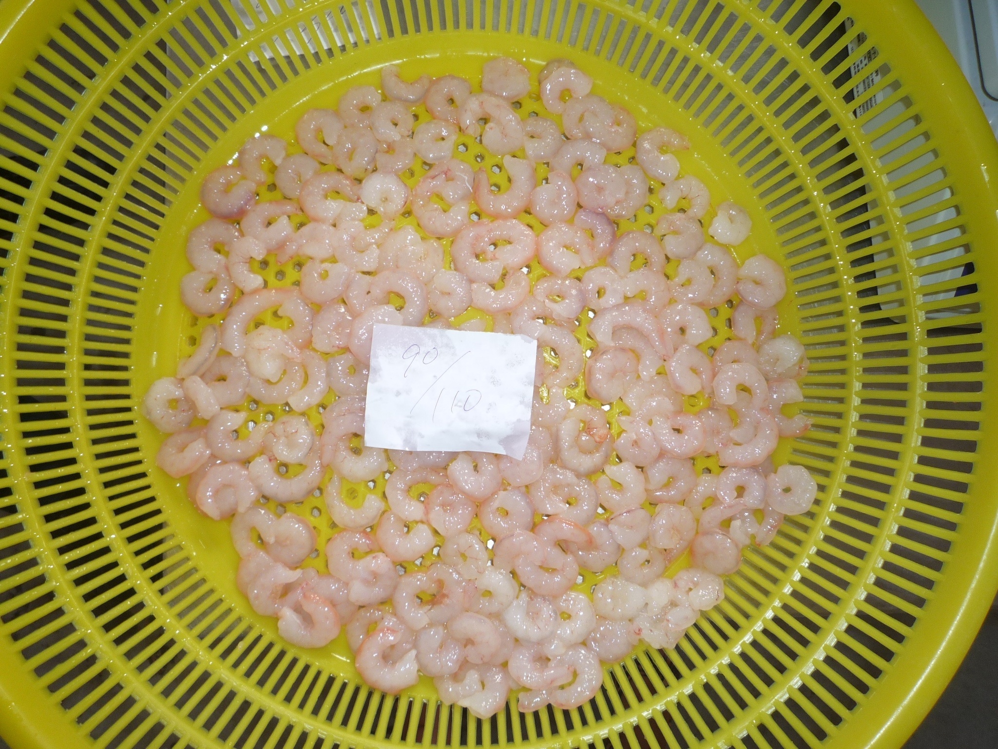 Whole Sale Prowns Shrimp Frozen Red Argentine Iqf Shrimp For Importers In Uae Market Price