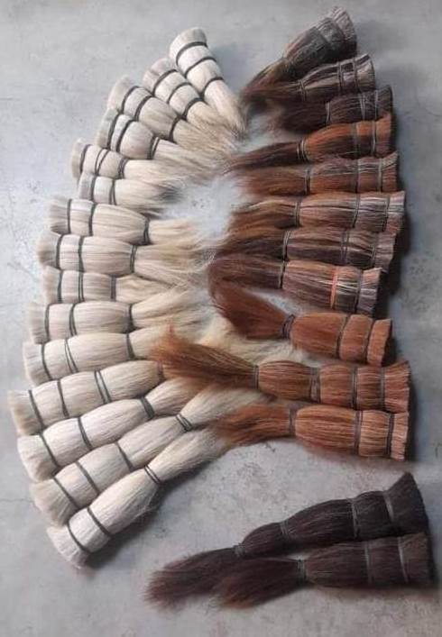 Wholesale Brush making Best Natural Horse hair for making brush Tail Hair from India at Best Price from factory