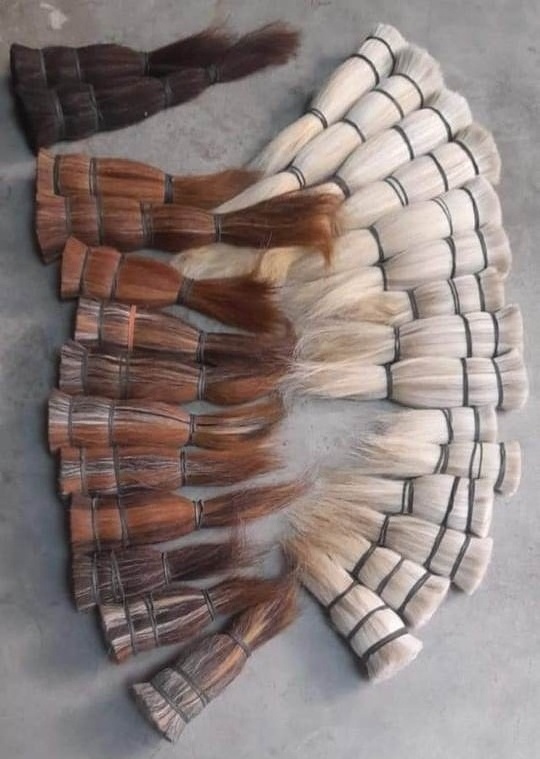 Wholesale Brush making Best Natural Horse hair for making brush Tail Hair from India at Best Price from factory