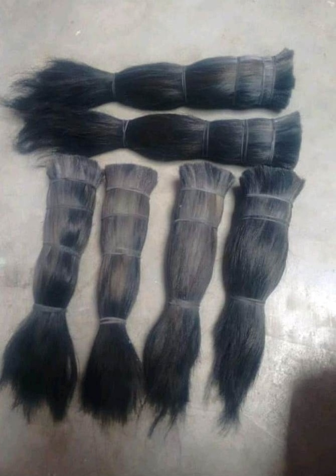 Handmade Cow And Buffalo Tail Hair Making For Brush Cattle Tail Hair Indian tail hair bundle Manufacturer from india