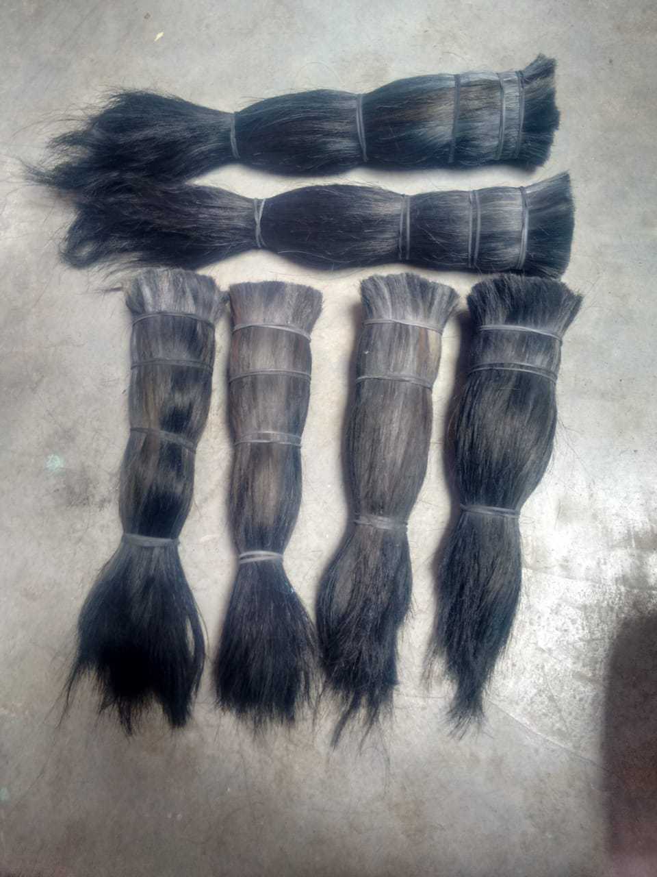 Wholesale Price Top Selling Buffalo Cow and buffalo tail hair for making brush Tail Hair from India at Best Price