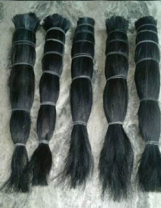 Handmade Cow And Buffalo Tail Hair Making For Brush Cattle Tail Hair Indian tail hair bundle Manufacturer from india