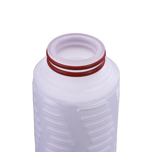 10 Inch to 40 Inch Polyethersulfone Membrane Pes Pleated Filter Cartridge for Medical Use