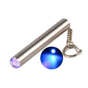 365nm AAA Battery Operated Stainless Steel Mini UV Keychain Lights ZWB2 Filter Ultraviolet Flashlight