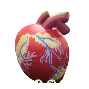 Custom Giant Inflatable Red Human Heart Hongyi Toy Cardiac Type Balloons Model For Promotion