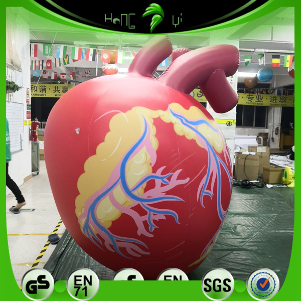 Custom Giant Inflatable Red Human Heart Hongyi Toy Cardiac Type Balloons Model For Promotion