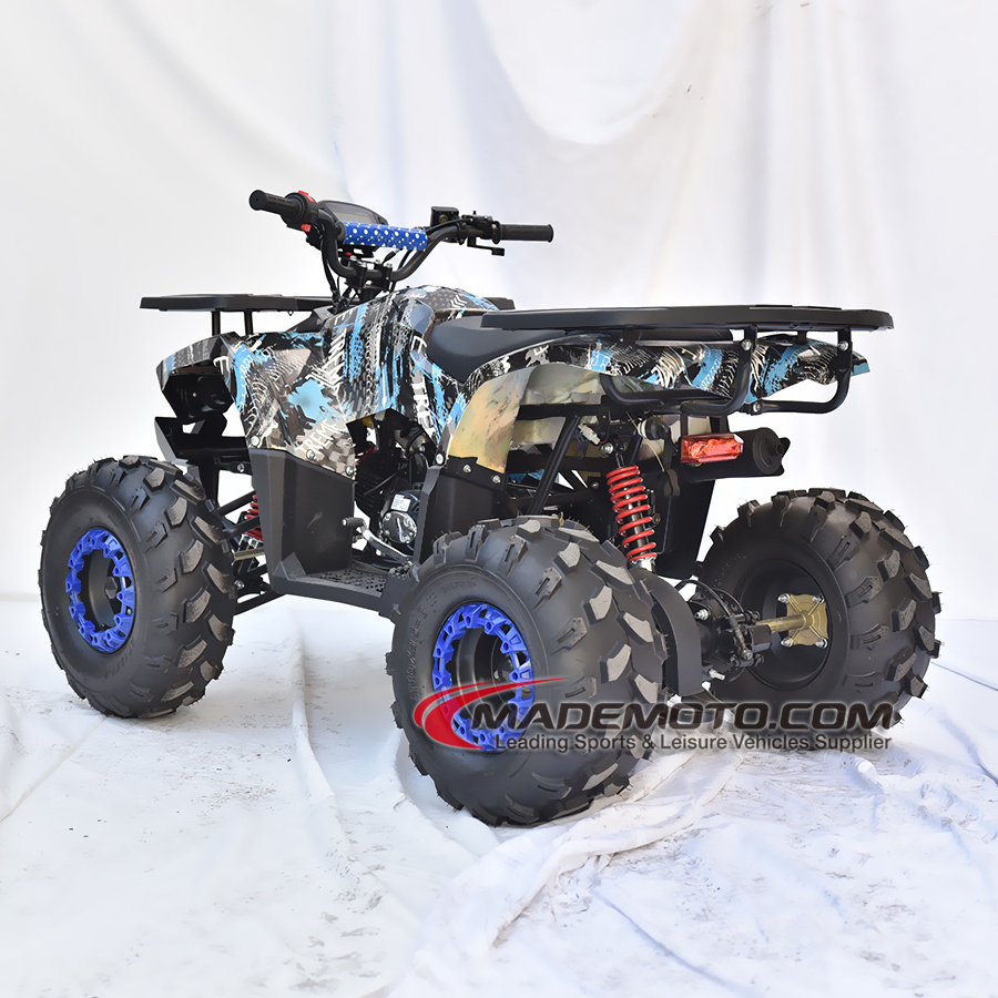 Gasoline With Tao Engine 110cc 125cc ATV Quad Bike For Teenagers