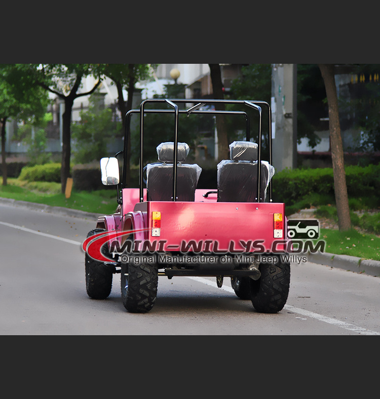 250CC Adult Mini Willys linhai atv