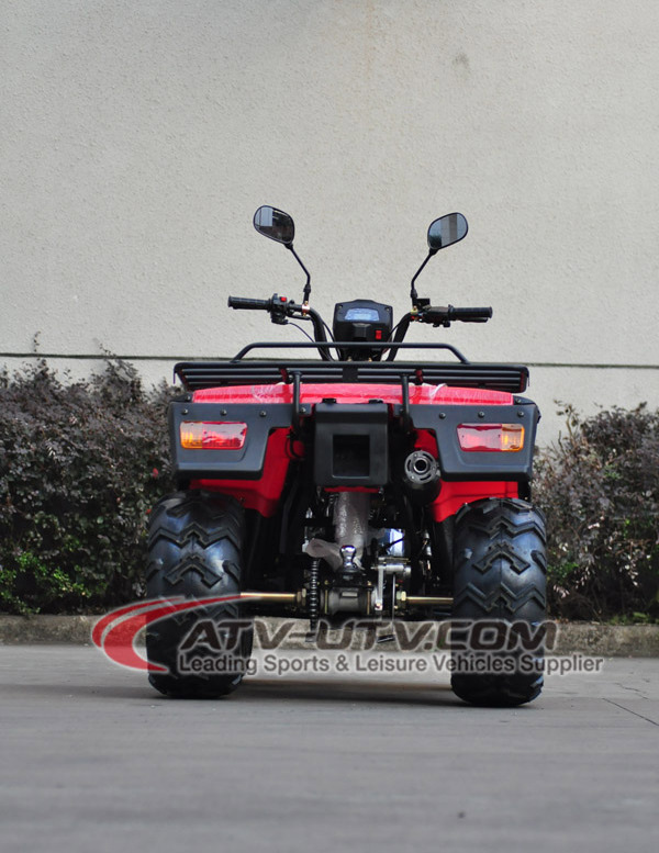 Gas Powered 250CC Racing ATV 350CC Quad with Loncin Engine