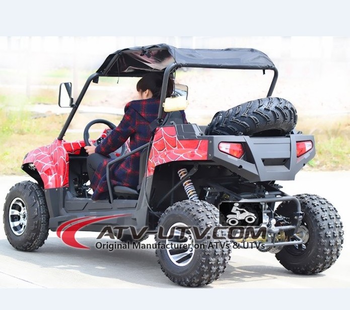 200cc UTV 4X4 side by side two seat off road buggy