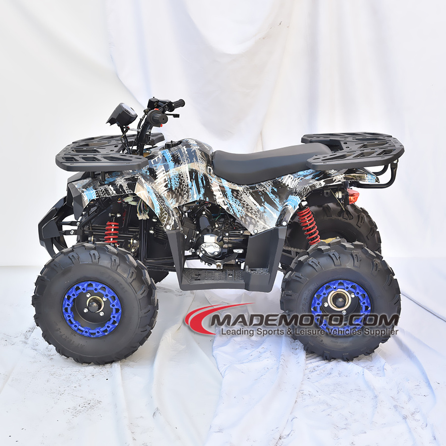 Gasoline With Tao Engine 110cc 125cc ATV Quad Bike For Teenagers