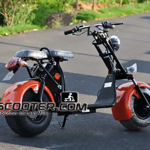 EEC approved scooter big wheel 1500w citycoco long range electric scooter ES8004VIII