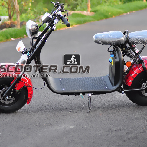 EEC COC CITYCOCO ELECTRIC SCOOTER zongshen znen zippy