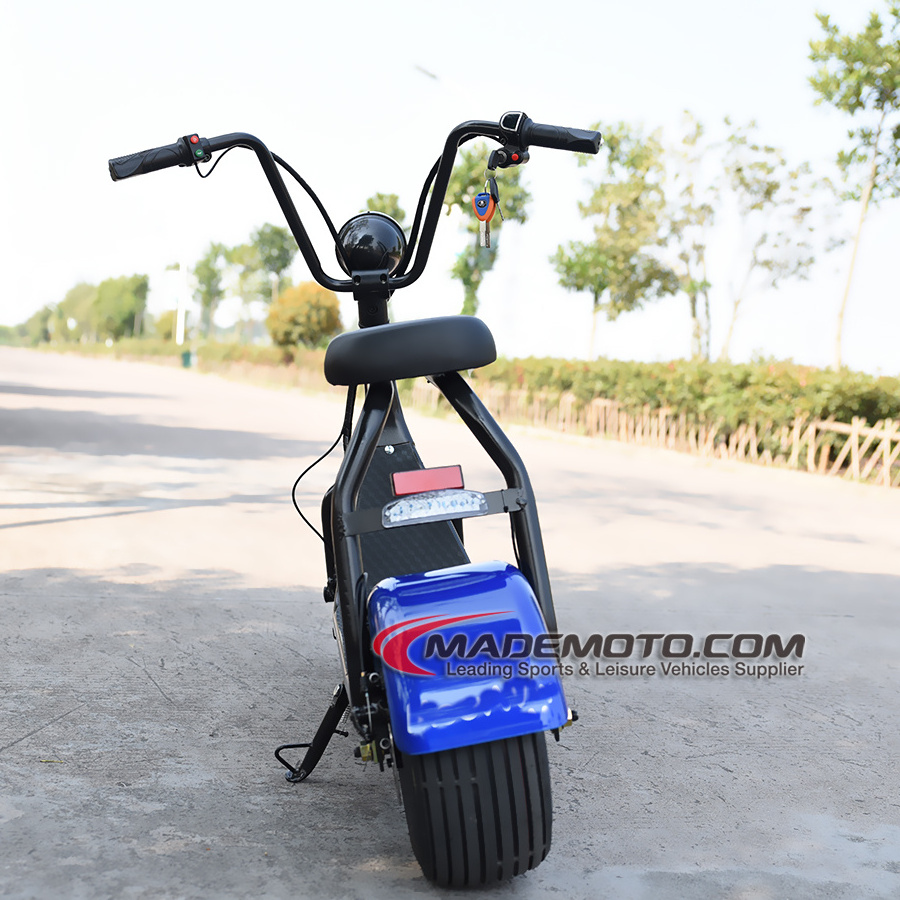 Citycoco With Side Car And Water Underwater 500W 48V 12AH Electric Scooter