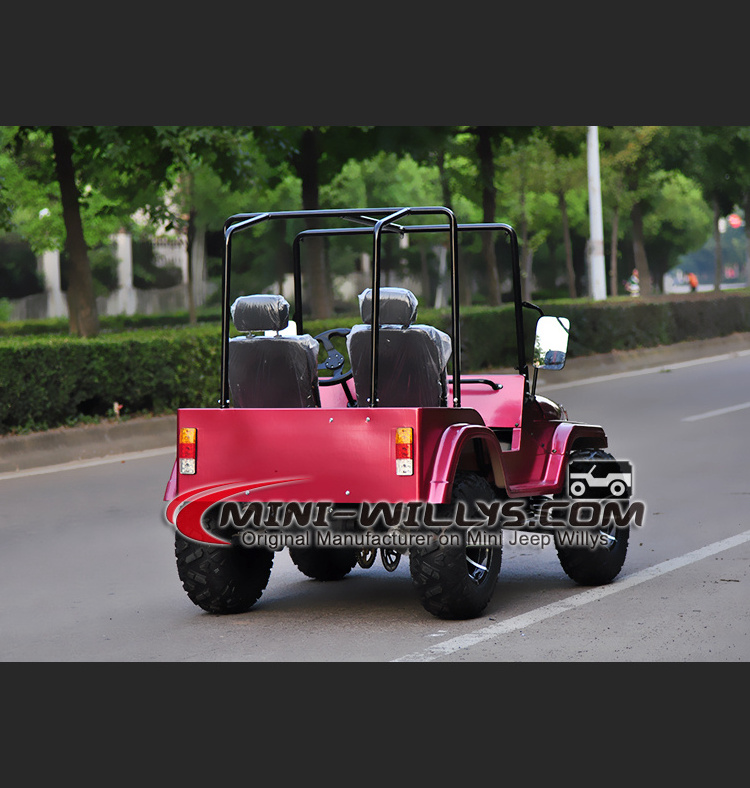 250CC Adult Mini Willys linhai atv