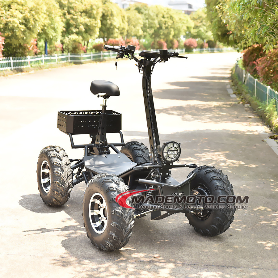 New Large Amphibious Atv Electric Quad Bike Adults Lithium Batteries 8000W 4 Wheeler