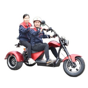 Best Selling High Quality Dual Motor 3 Wheel 2 Seaters Electric Scooter with Removable Lithium Battery Pack