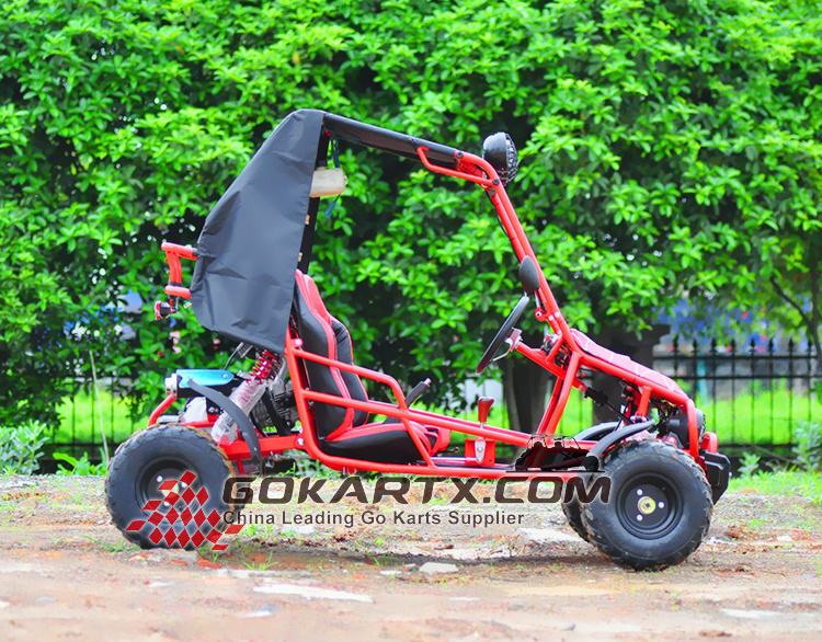 110CC 2 Seater Cheap Gas Powered Go Kart without EEC EPA Certificate