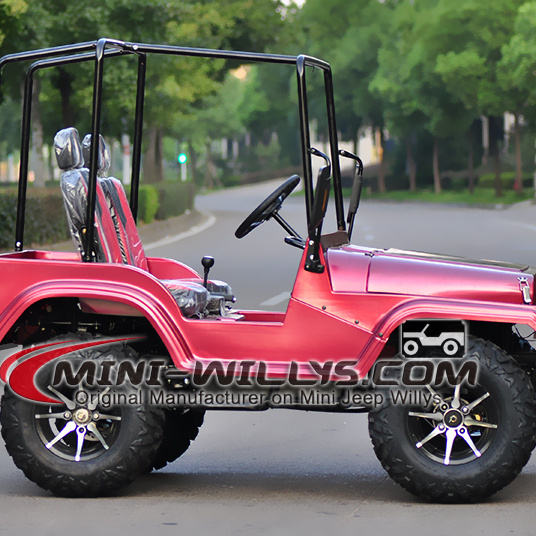 250CC Adult Mini Willys linhai atv