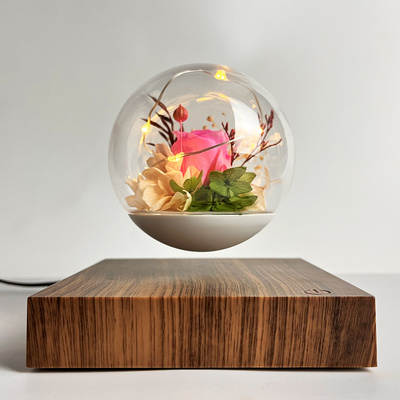 Magnetic Levitating Lamp LED Floating Lights Bulb Preserved Flower Real Rose Eternal Floating Lights, Gifts for Valentine's Day