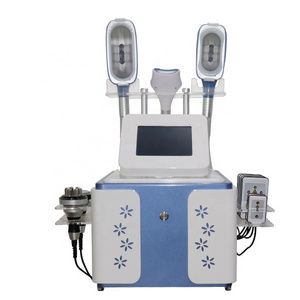 Hot Selling 2023 Cryoslim Cold Sculpting Cryoskin Machine / Crylipolysis Machine