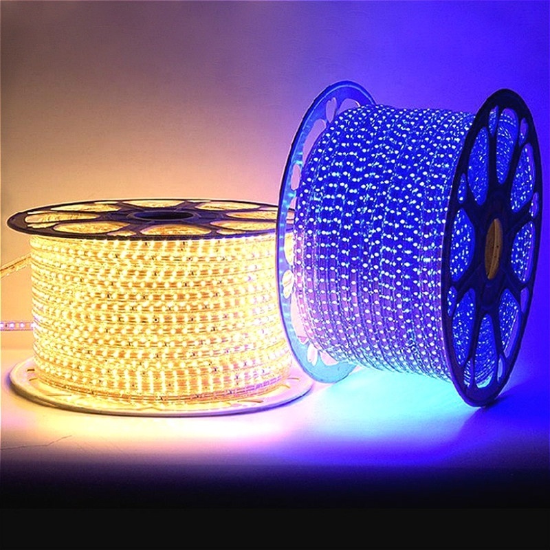 110V/220V Waterproof RGB LED Strip 5050 SMD LED Smart Strip Lights Remote Controlled LED Strip Lights Work with Remote