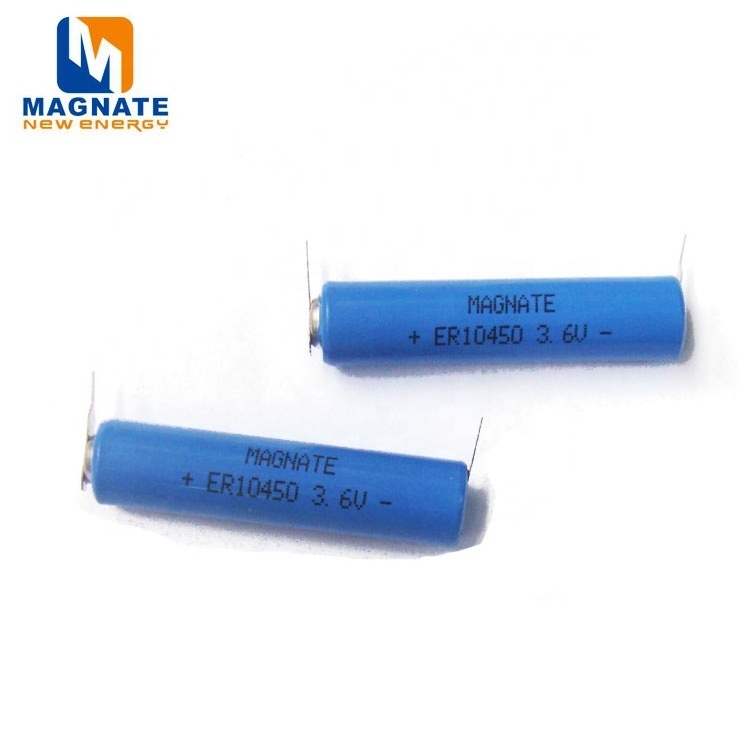 MAGNATE Battery ER10450 3.6V LiSOCl2 Battery UL1007 AWG#24 JST-PHR-2 connector