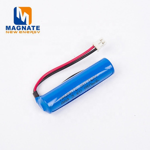 MAGNATE Battery ER10450 3.6V LiSOCl2 Battery UL1007 AWG#24 JST-PHR-2 connector