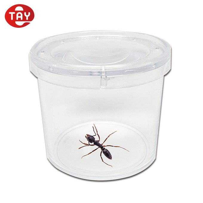 2021 Hot-Selling Educational Plastic Insect Box Magnifier Bug Jar Magnifying Glass