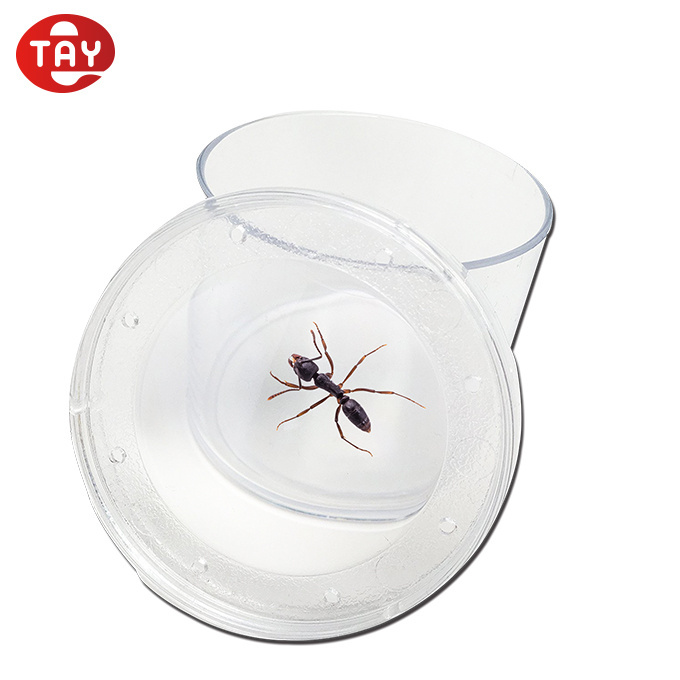 2021 Hot-Selling Educational Plastic Insect Box Magnifier Bug Jar Magnifying Glass